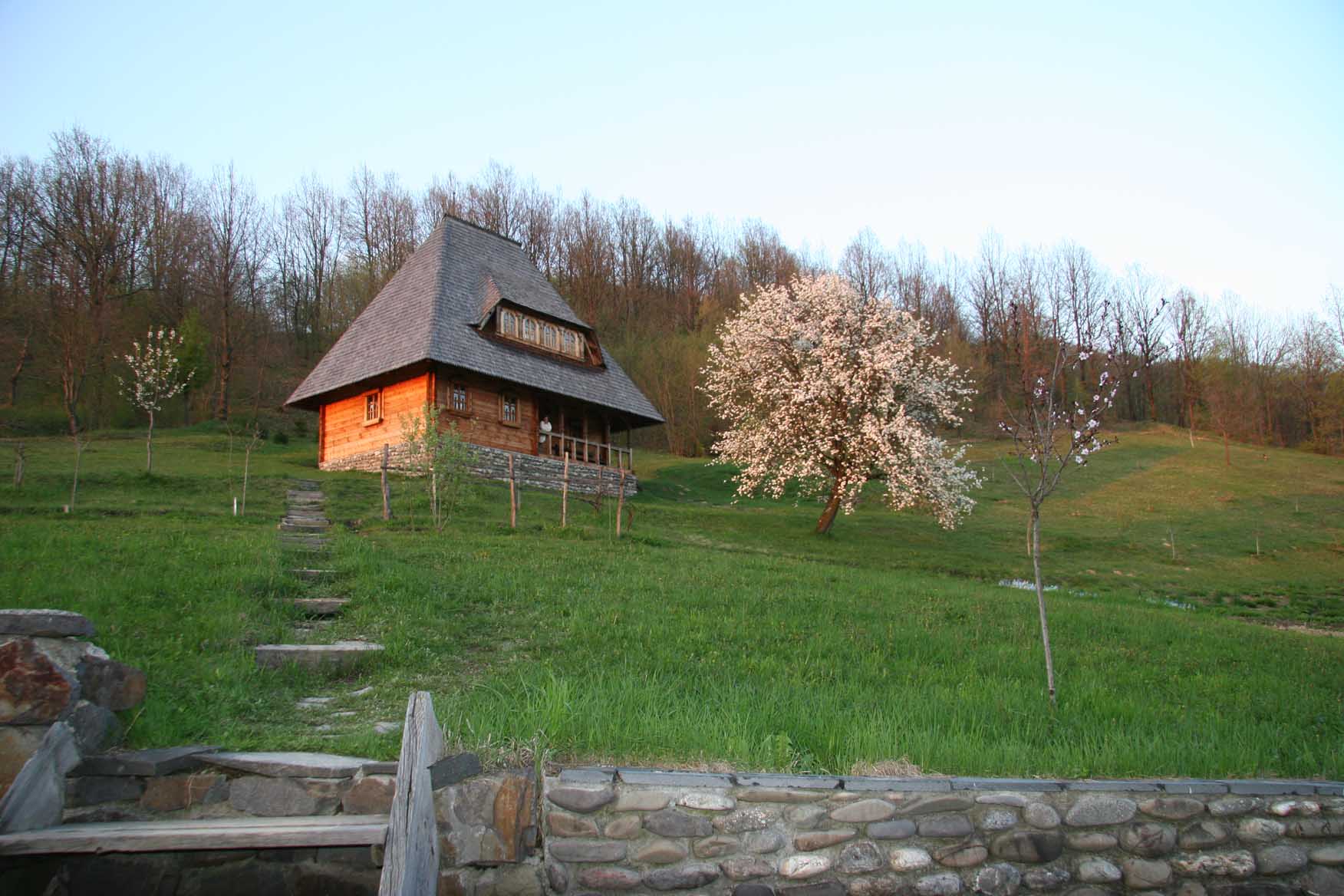Another view