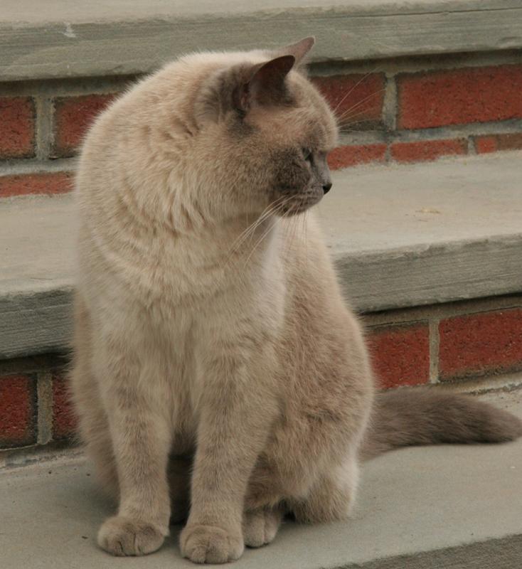 On the stoop