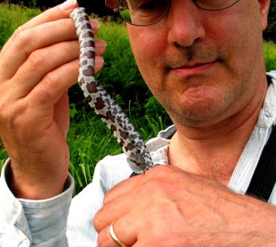 Peter and the Milksnake
