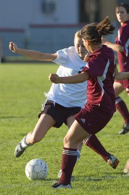 v3/65/45565/3/50732160.DSC_4900_D70web.jpg