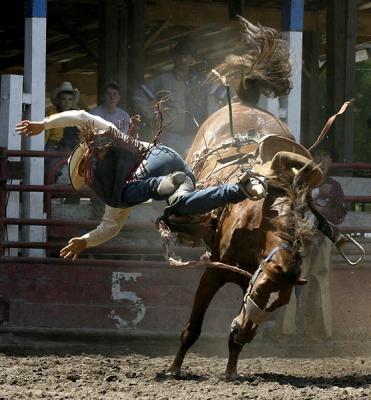 Attica (NY) Rodeo, 6 August 2005