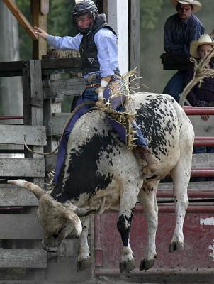 Attica (NY) Rodeo, 6 August 2005