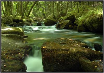 Golitha Falls, Bodmin, Cornwall