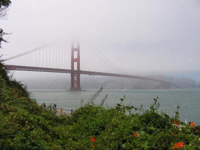 IMG_0481sm.jpg