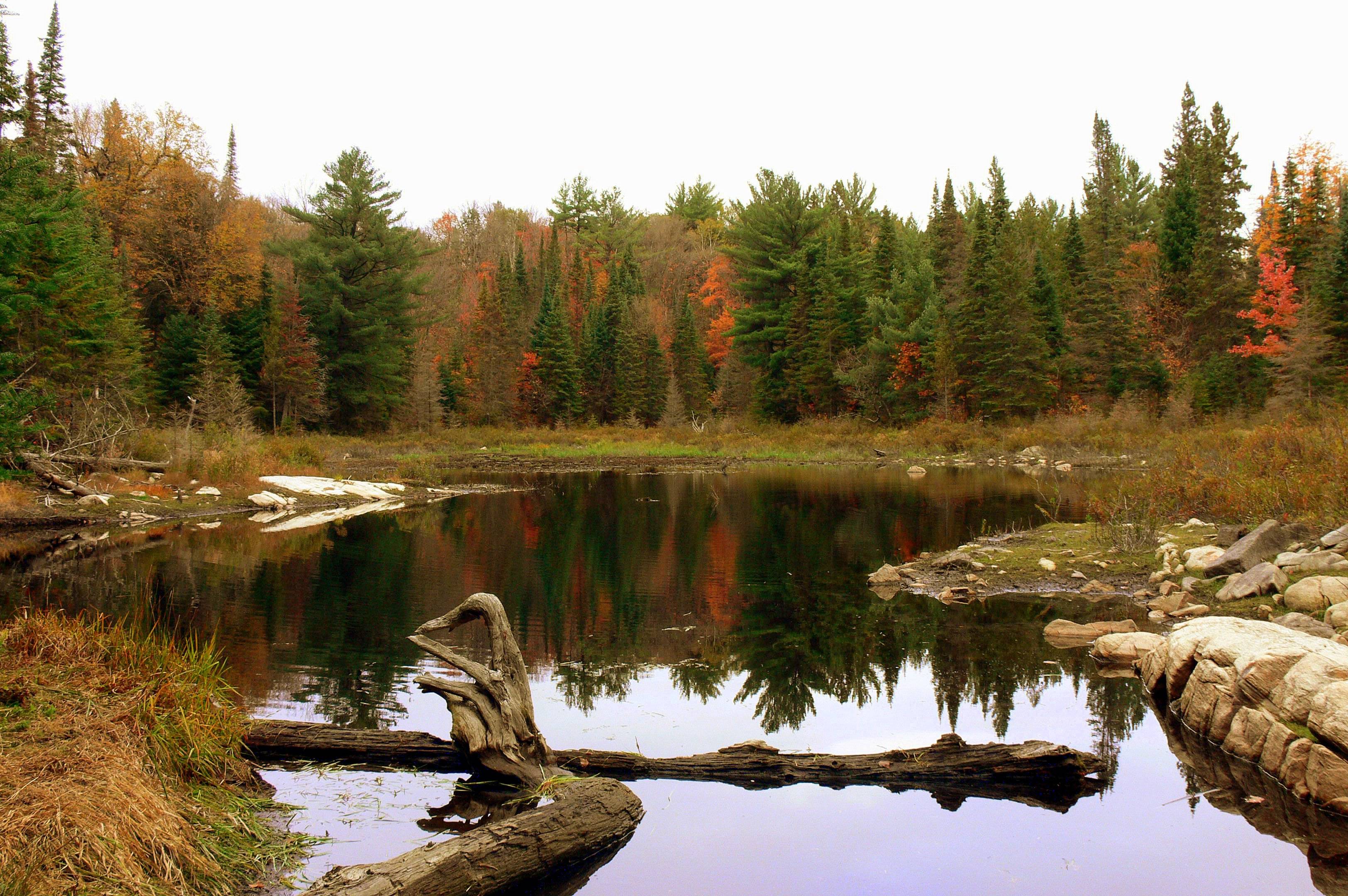 Mizzy Lake trail in Algonquin Park