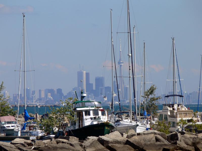 City skyline from Port Credit...