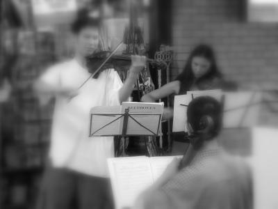 Young musicians entertain shoppers at the market on a Saturday morning