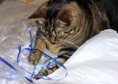 Playing with a ribbon....