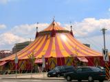 The circus comes to town