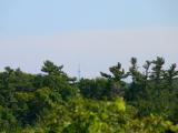 CN Tower from the Binder & Twine Park