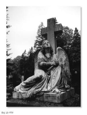 The Cemetery 03