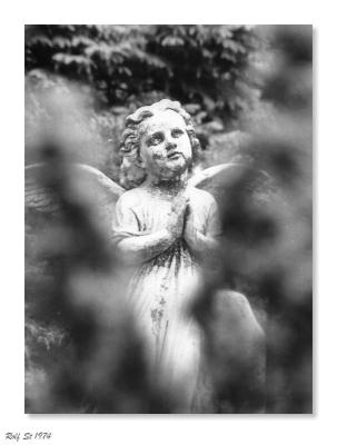 The Cemetery 06