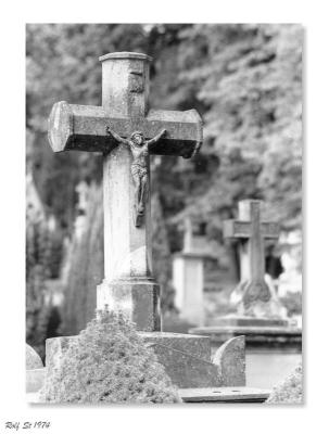 The Cemetery 11