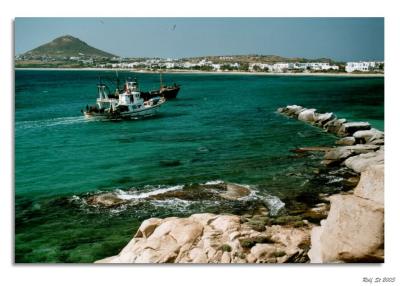 v3/65/564865/3/45384505.003Naxos01.jpg