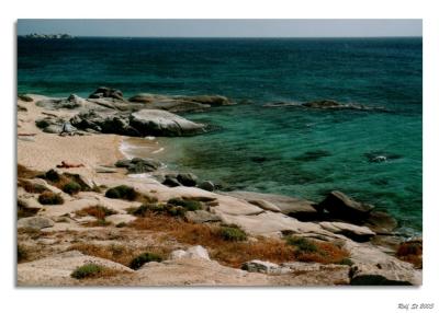 v3/65/564865/3/45384507.005Naxos02.jpg