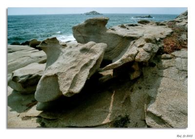 v3/65/564865/3/45384510.008Naxos09.jpg