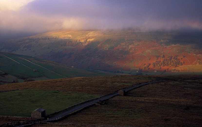 Wensleydale