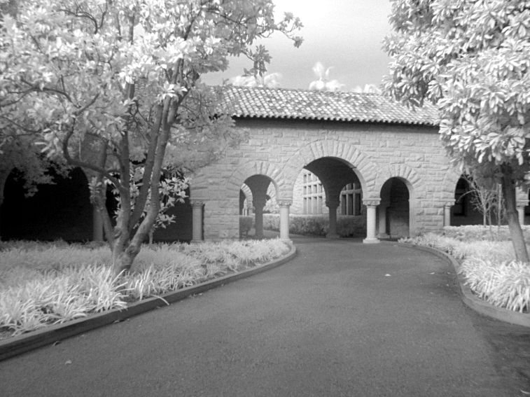 Stanford University campus, USA