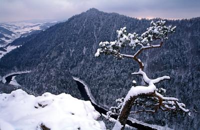 Pieniny: on Sokolica peak