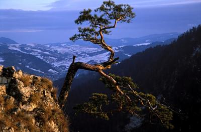 Pieniny: on Sokolica peak