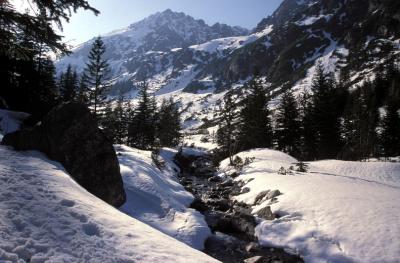 Roztoka Valley in winter
