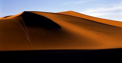 Death Valley: Sand Dunes