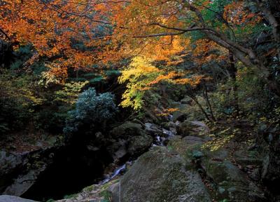 Yatsubuki-no-taki waterfalls trail