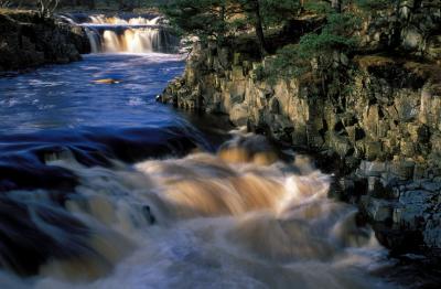 Teesdale: Low Force