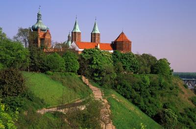 Castle and cathedral in the city of Plock