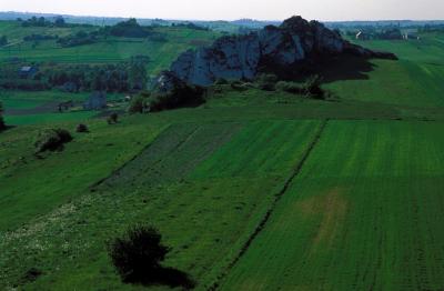 White limestone rocks and green fields