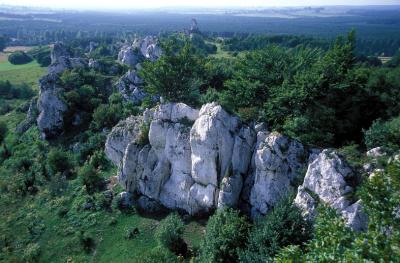 Limestone rocks in Rzedkowice