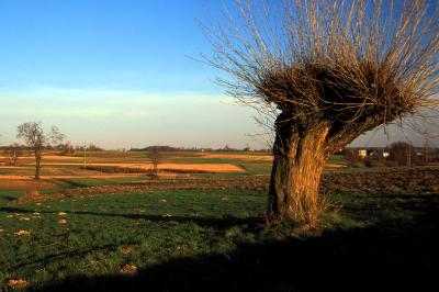Typical rural landscape