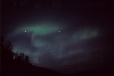 Northern lights (Aurora borealis)