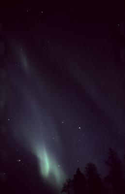 Northern lights (Aurora borealis)