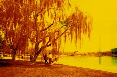 Washington: The Mall in IR