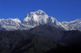 Dhaulagiri from Poon Hill