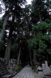 Koya-San: cemetery