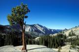 Yosemite NP: a viewpoint near Tioga Rd