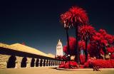 Stanford University campus