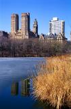 New York: Central Park