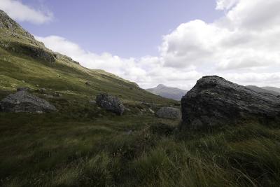 The Cobbler