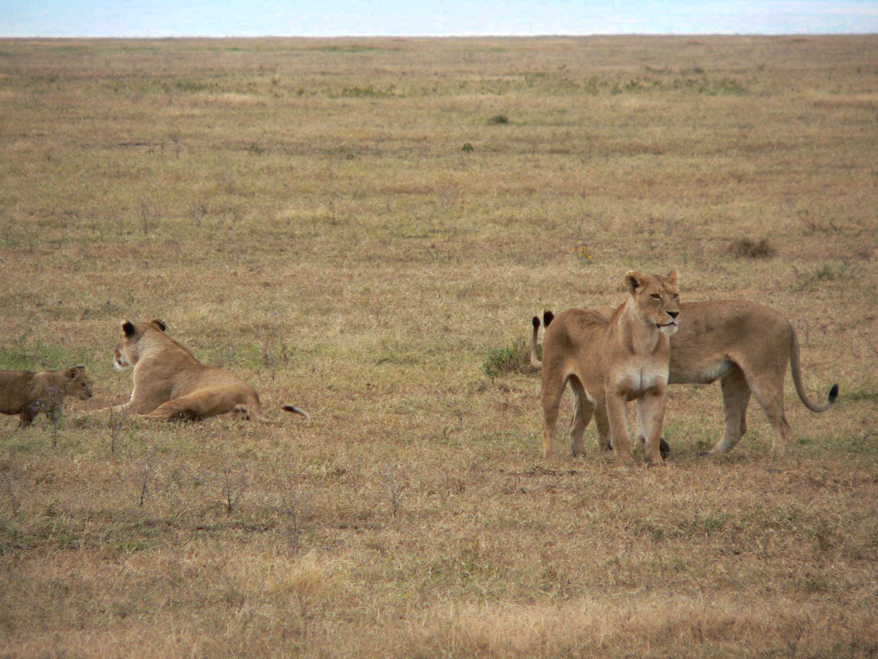 famille1.jpg