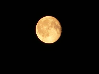 lune au 432mm.jpg