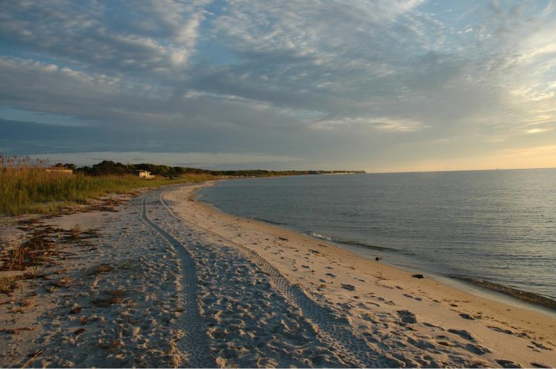 bayside at sunset