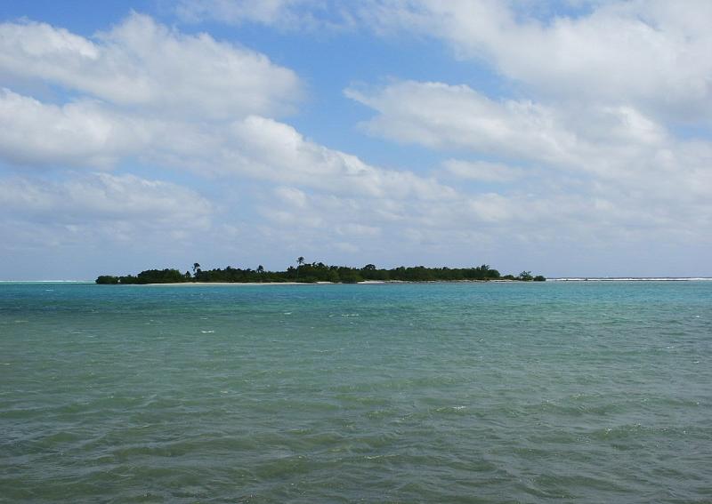 Owens Island