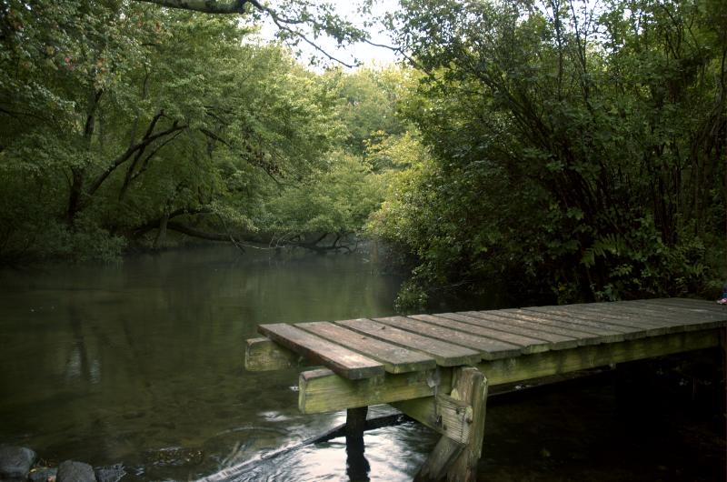 Connetquot River State Park