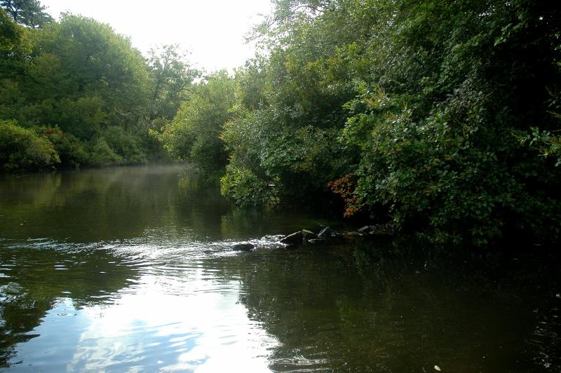 Connetquot River State Park