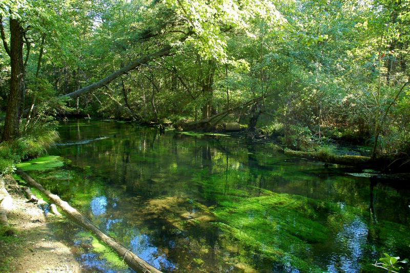 Connetquot River State Park