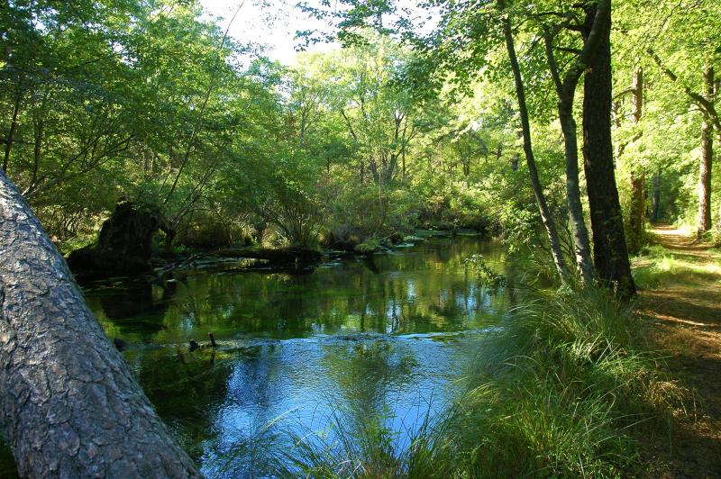 Connequot River