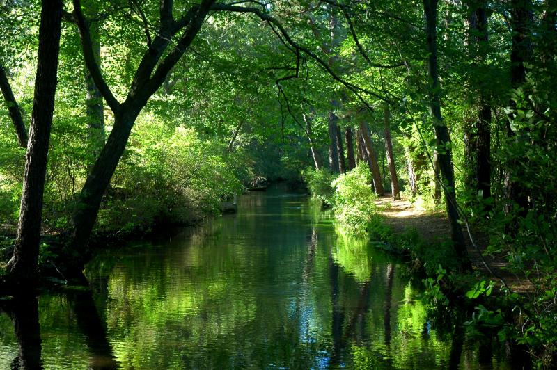 Connetquot River State Park